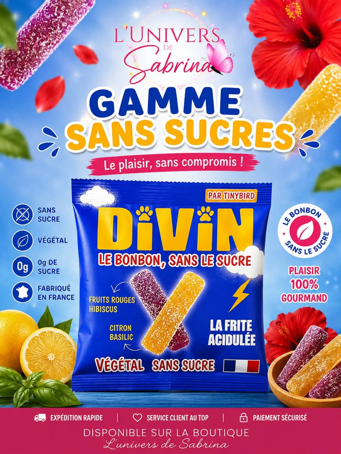 DIVIN - FRITE ACIDULEE SANS SUCRE - FRUITS ROUGE HISBISCUS - CITRON VERT BASILIC