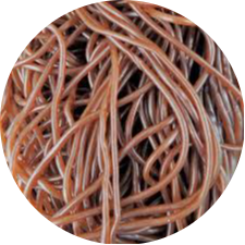 LASSOS COLA LISSE 100G