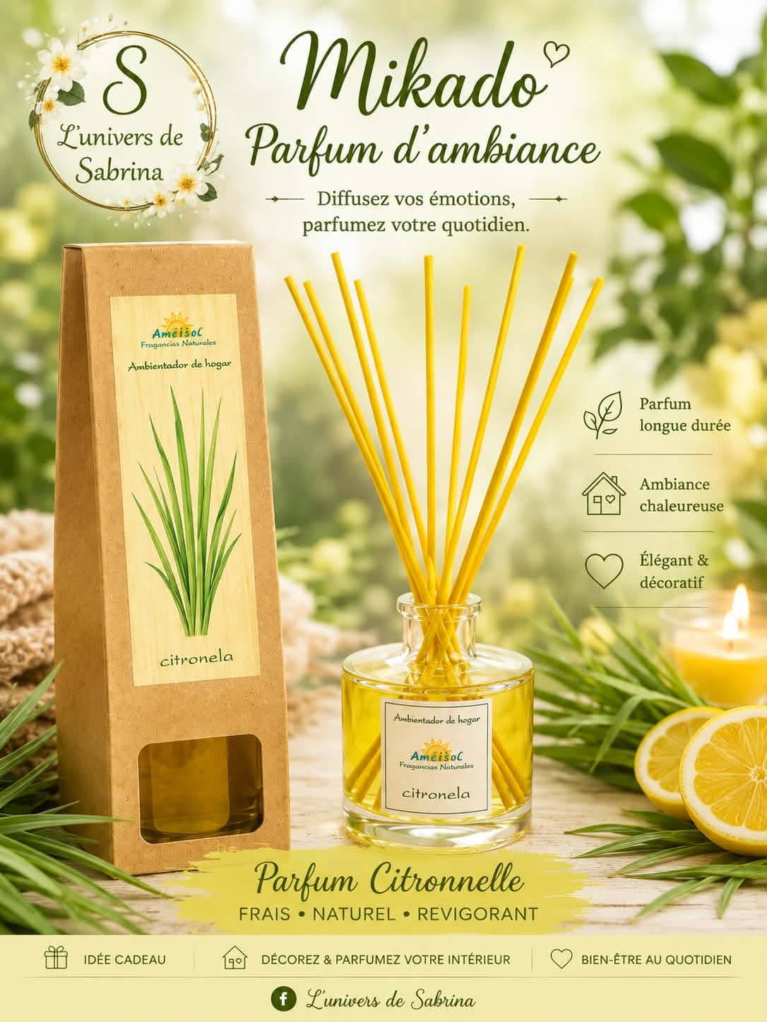 MIKADO 100ML (plusieurs senteurs)