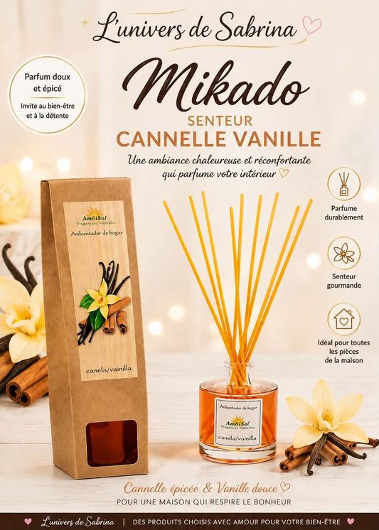 MIKADO 100ML (plusieurs senteurs)