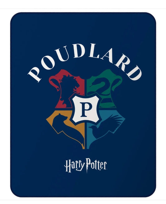 PLAID HARRY POTTER WB BLASON