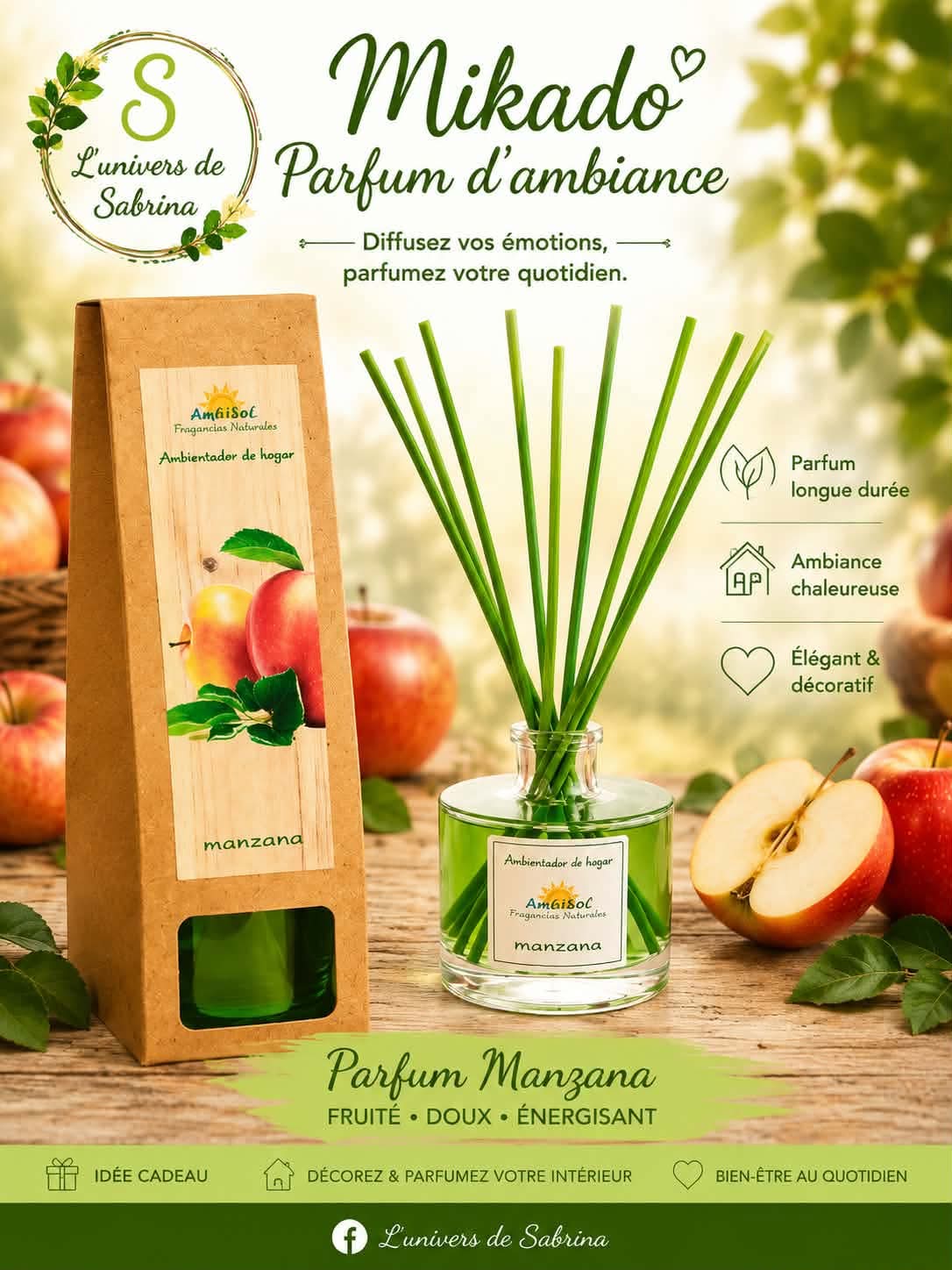 MIKADO 100ML (plusieurs senteurs)