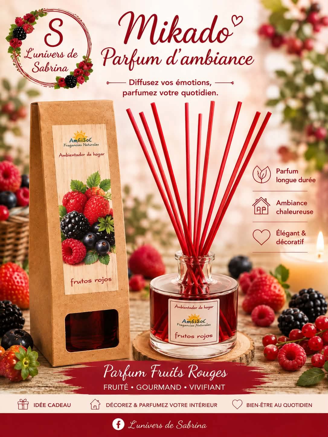 MIKADO 100ML (plusieurs senteurs)