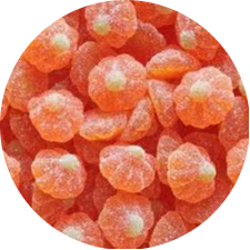 MANDARINES SUCREES 100G