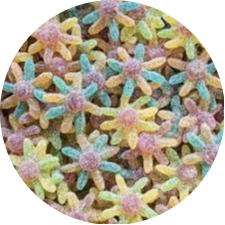 PIEUVRES ACIDULEE 100G (JAKE)