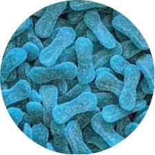 LANGUE BLEUES A LA FRAMBOISE SUCREES 100G